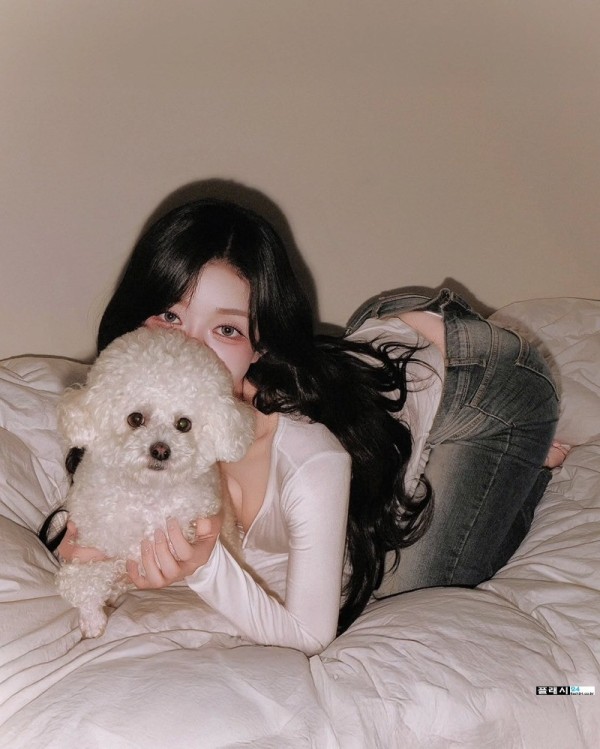 댕댕이 부럽다 이미지 3