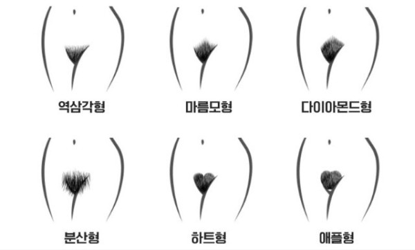 여자들의 거기털 모양과 종류 이미지 3
