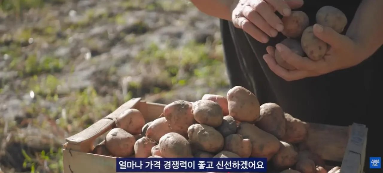 중국에서 초대박 한국 과자.JPG 이미지 8