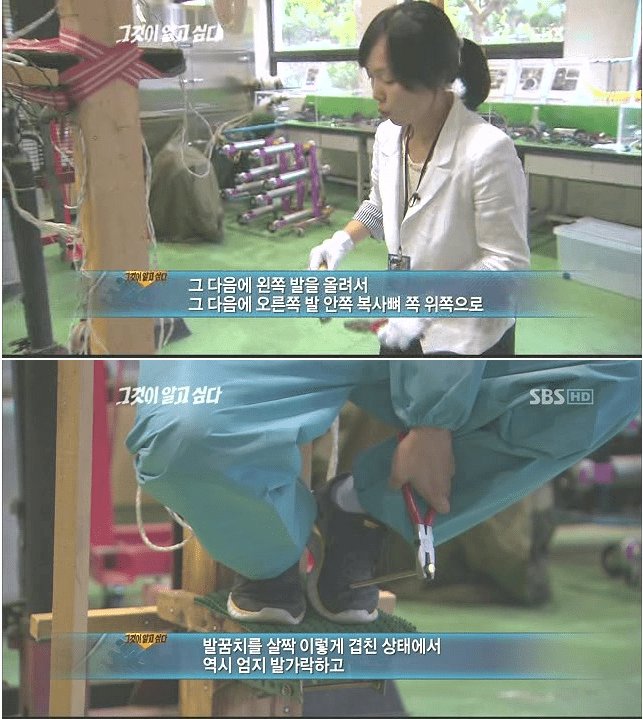 대한민국 자살사건중 가장 쇼킹한 사건 이미지 3