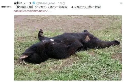 “지리산 반달곰 더이상 개체추적 하지 않겠다” 이미지 2