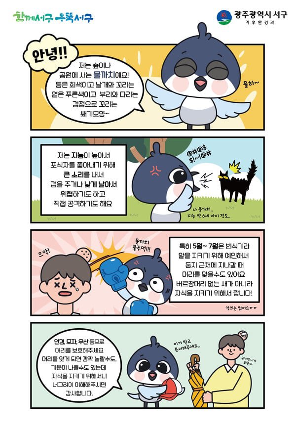 이제 슬슬 조심해야 하는 새.jpg 이미지 2