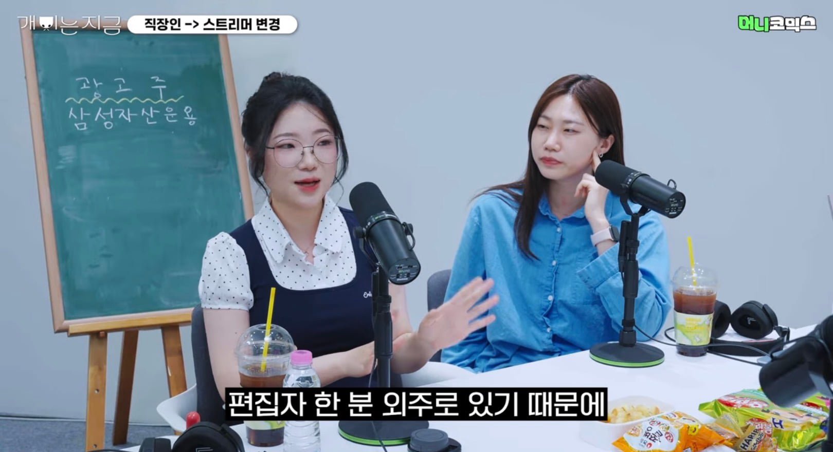 인방)유튜브 쇼츠와 극한한 롱폼 극과극 시대인거 같다는 스트리머 이미지 2