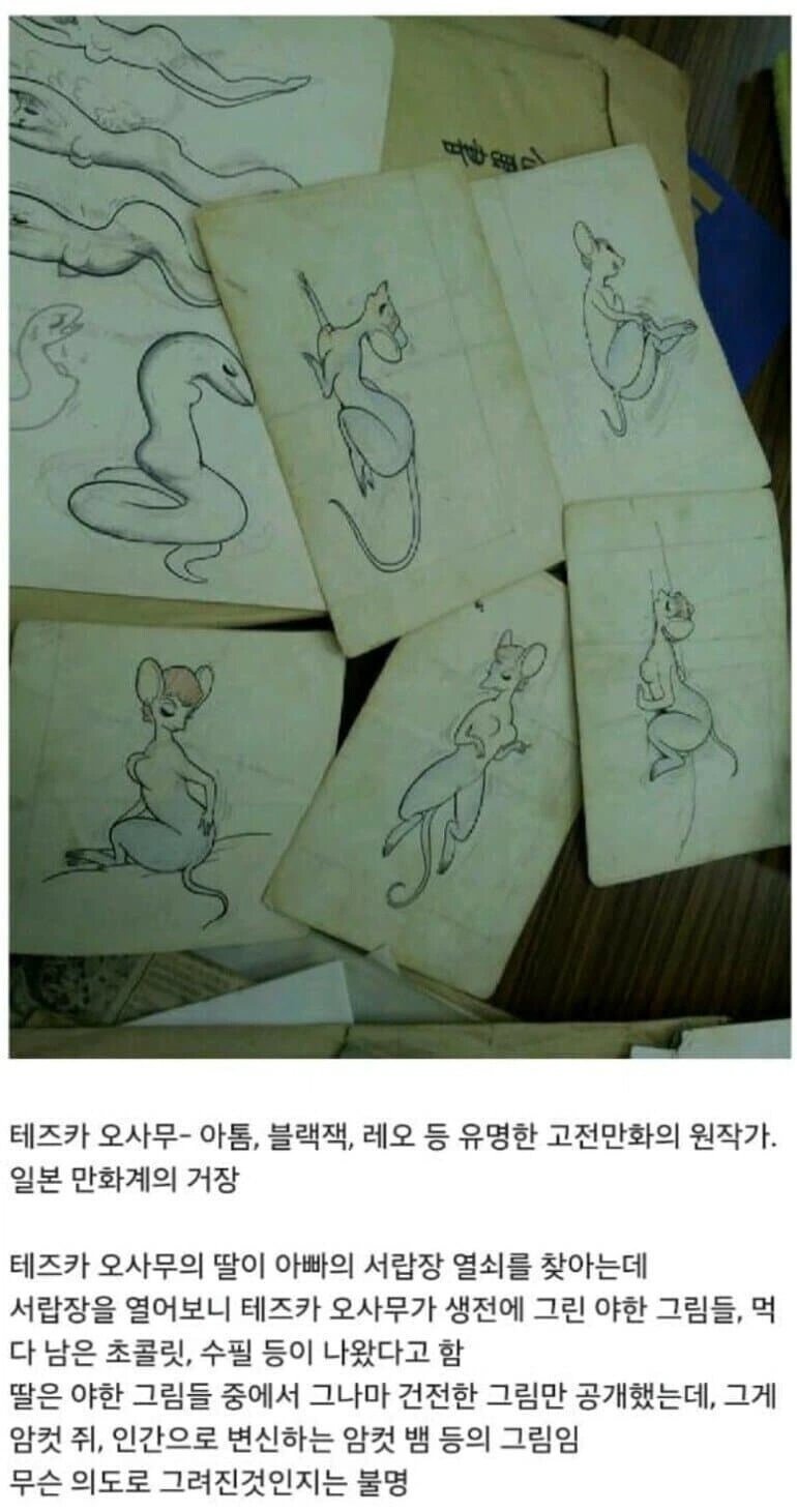주저하지 말고 가능한 한 크고 대담하게 부풀릴 것.jpg 이미지 5