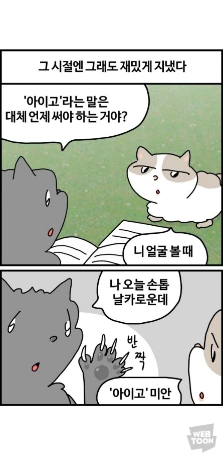 길고양이가 한국에서 살아남는 법 이미지 6