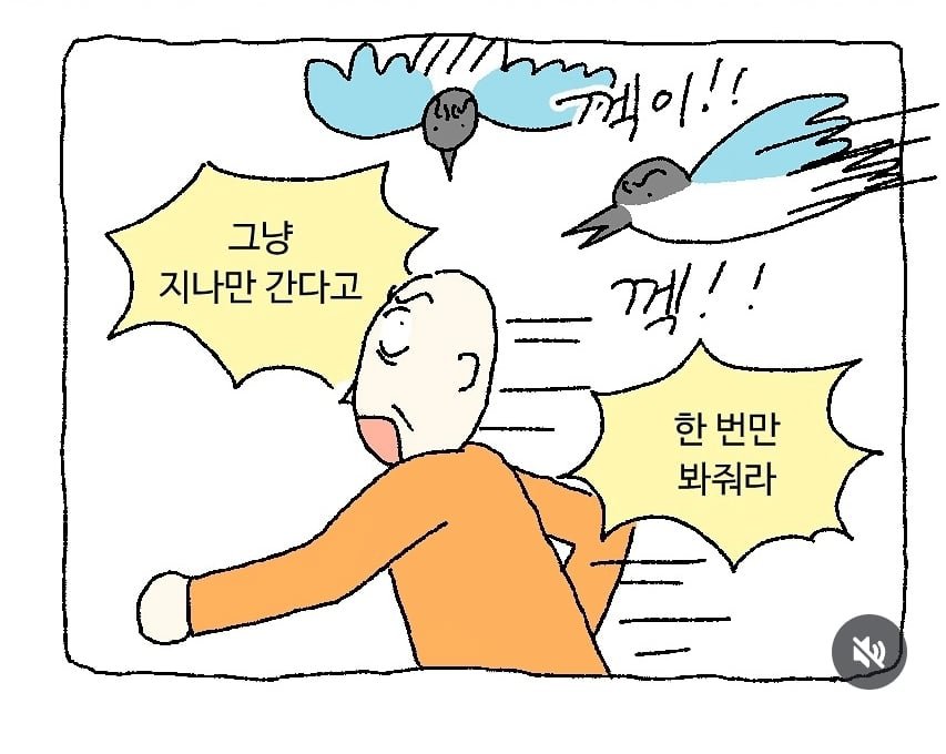 이제 슬슬 조심해야 하는 새.jpg 이미지 3
