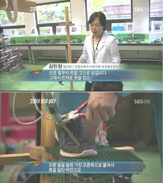 대한민국 자살사건중 가장 쇼킹한 사건 이미지 7