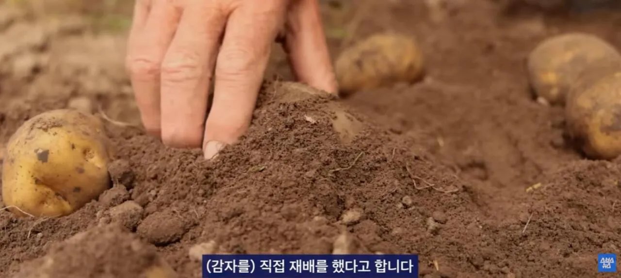 중국에서 초대박 한국 과자.JPG 이미지 6