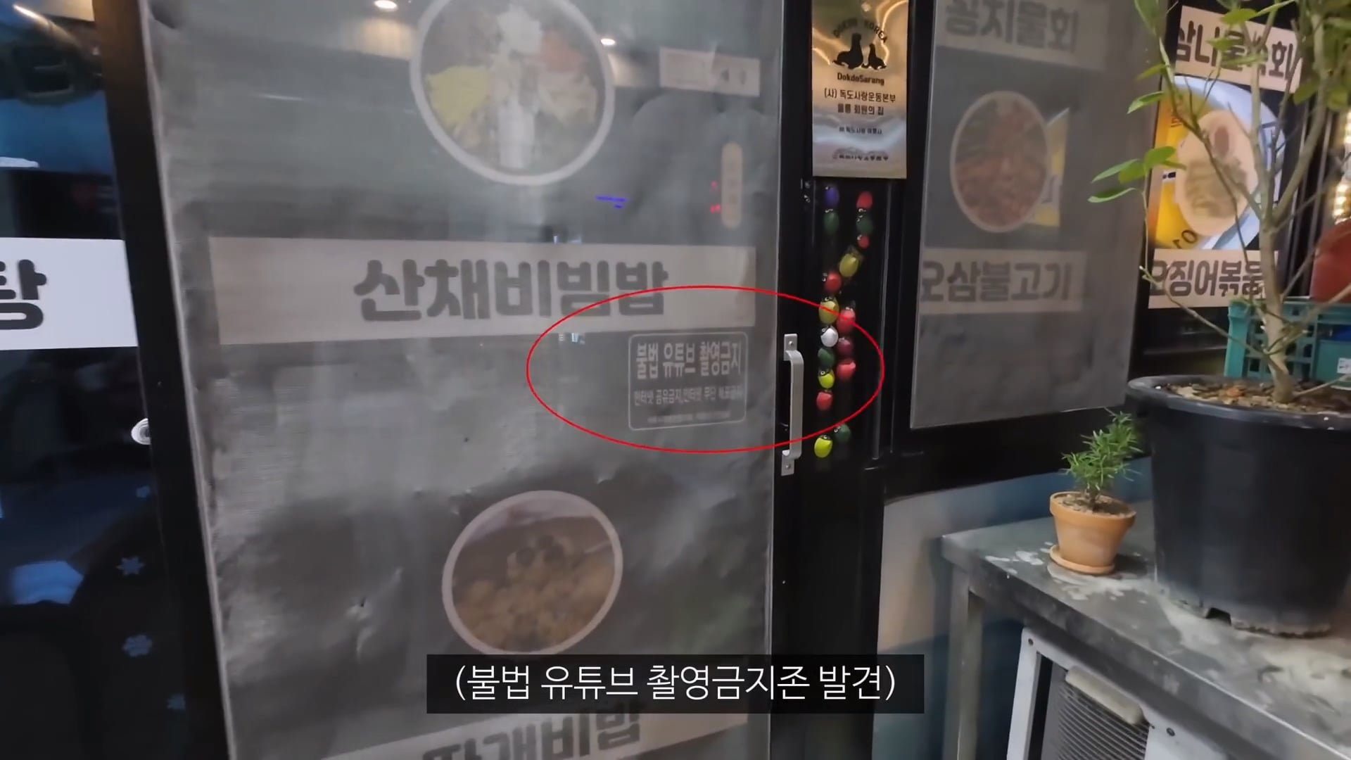 논란의 울릉도 최신 근황 이미지 12