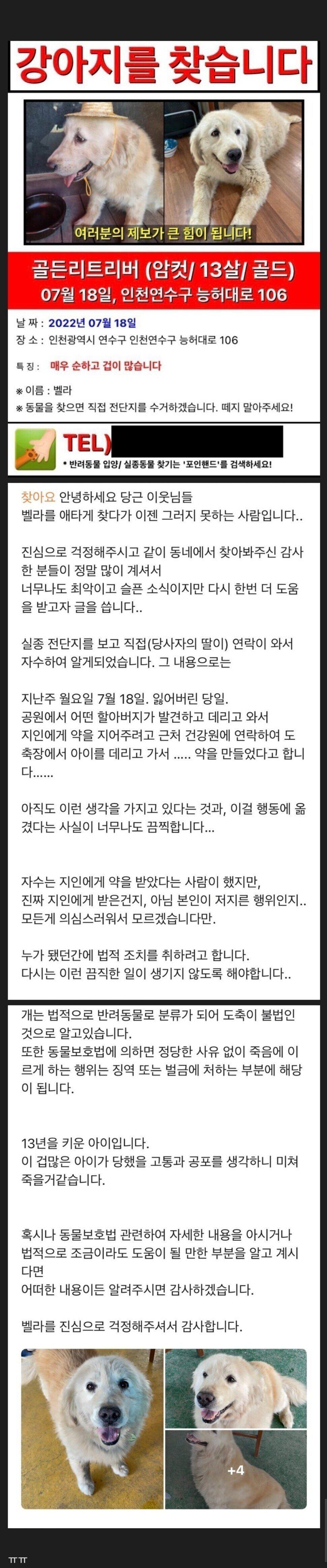 당근 실종 골든리트리버 결말;;; 이미지 2