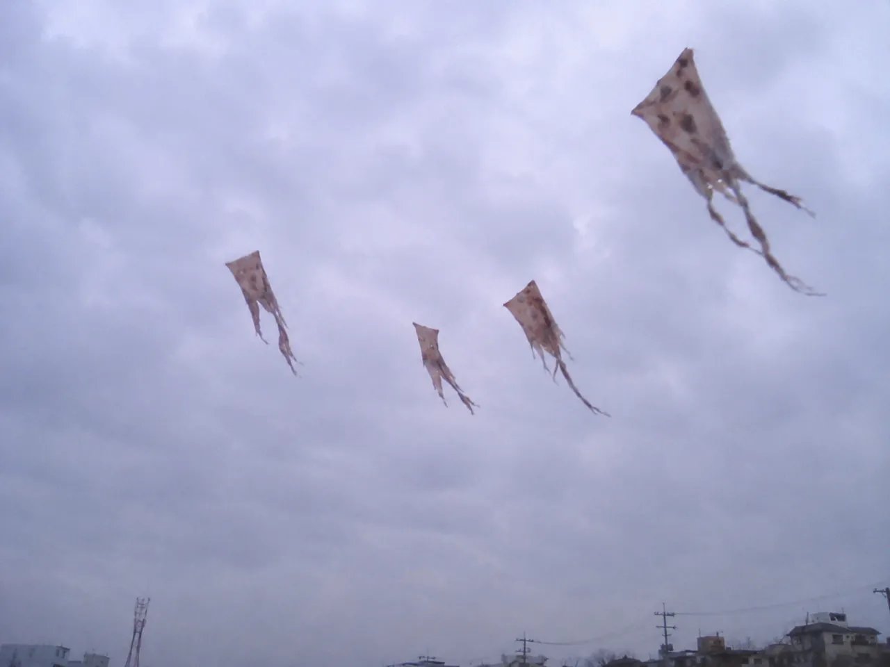 한국인들은 별로 안무서워하지만 외국인들은 까무러치는 짤 모음 이미지 7