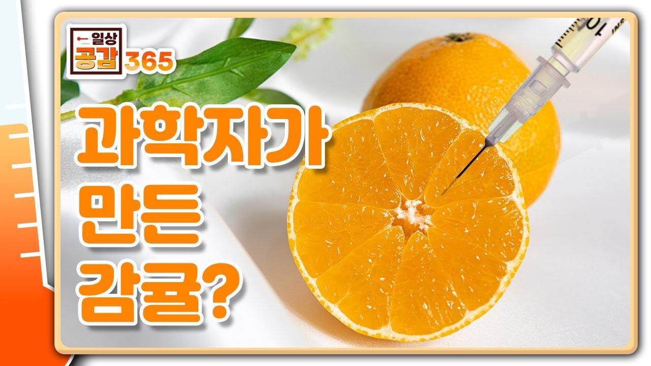 빽과는 달리 정말로 우리나라의 만물을 창조하신 분.... 이미지 6