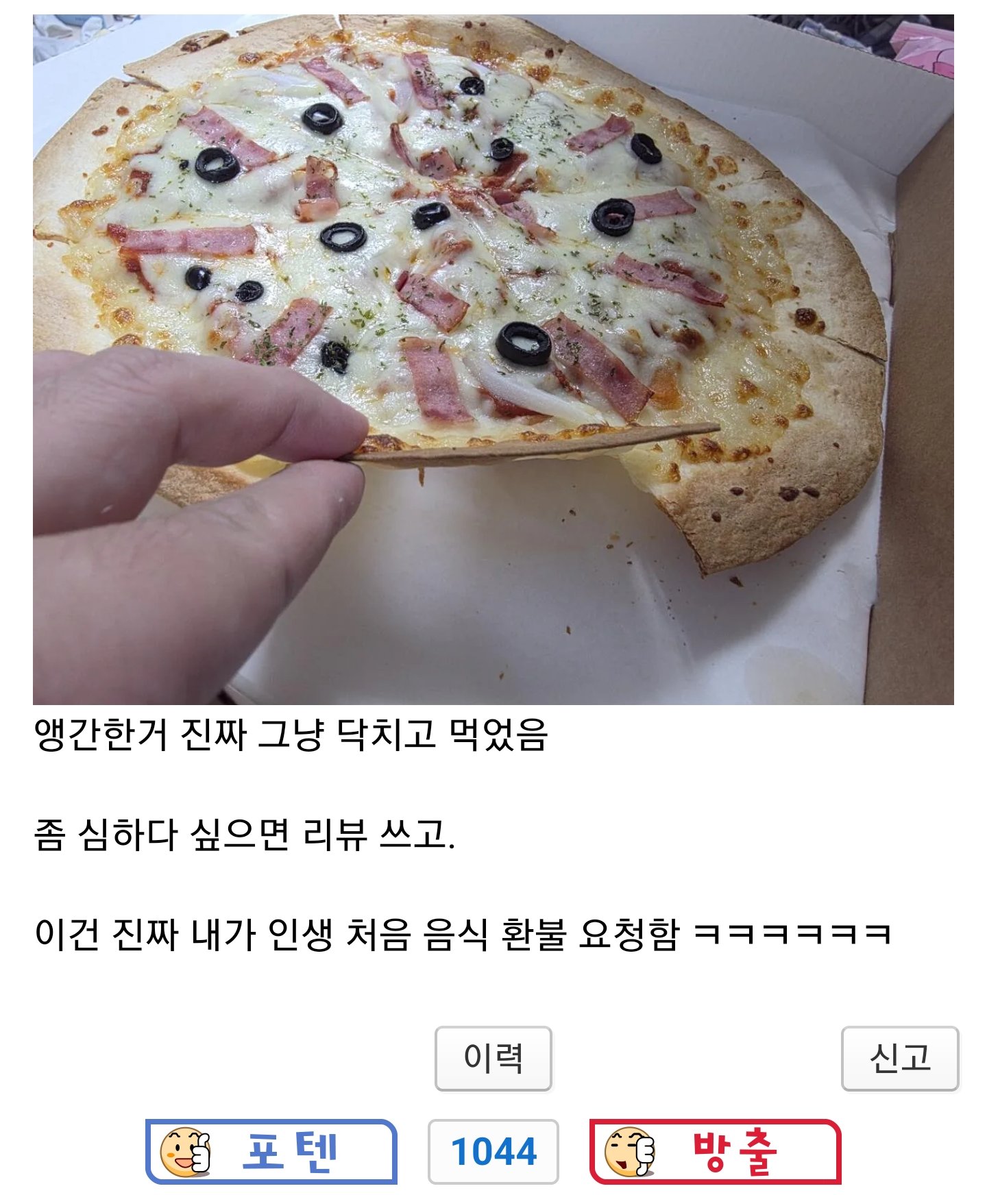 펨붕이가 분노한 15,900원 짜리 피자.jpg 이미지 3