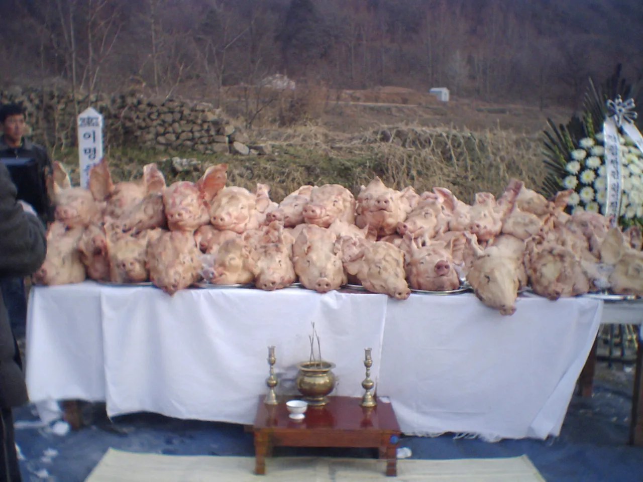한국인들은 별로 안무서워하지만 외국인들은 까무러치는 짤 모음 이미지 11