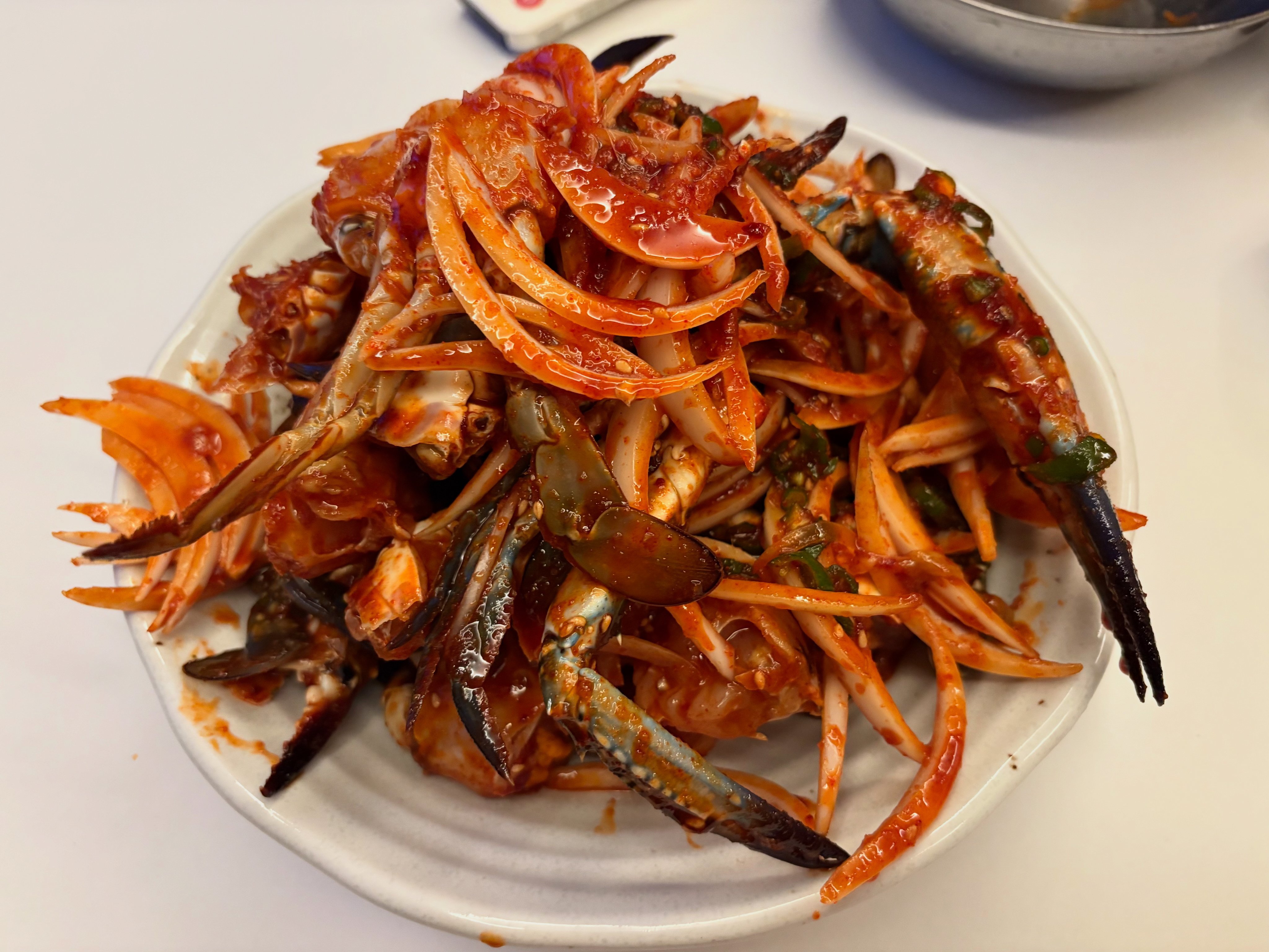 제주 아열대 청색꽃게 현지 근황 이미지 3