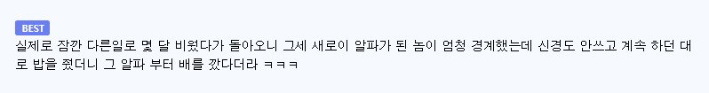 늑대 사진을 찍던 사진작가의 최후 이미지 3