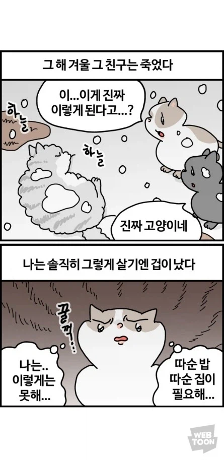 길고양이가 한국에서 살아남는 법 이미지 8