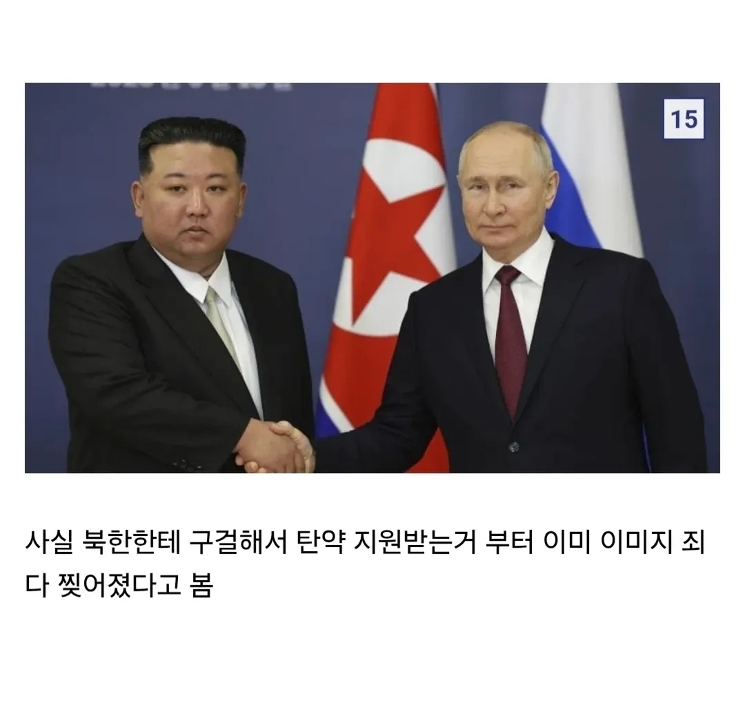 사실상 개병신인 국가.jpg 이미지 9