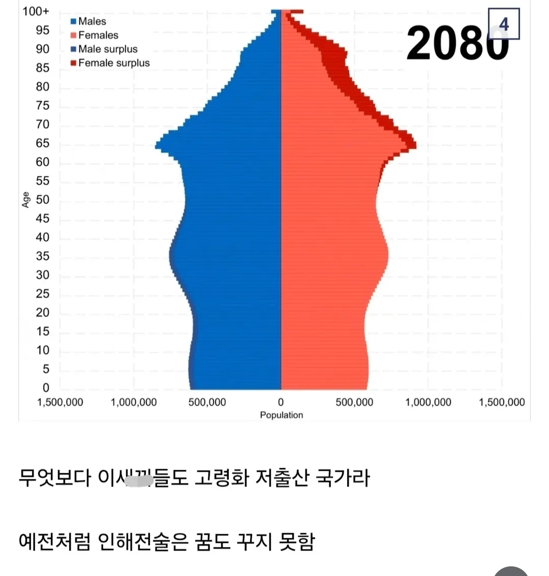 사실상 개병신인 국가.jpg 이미지 4