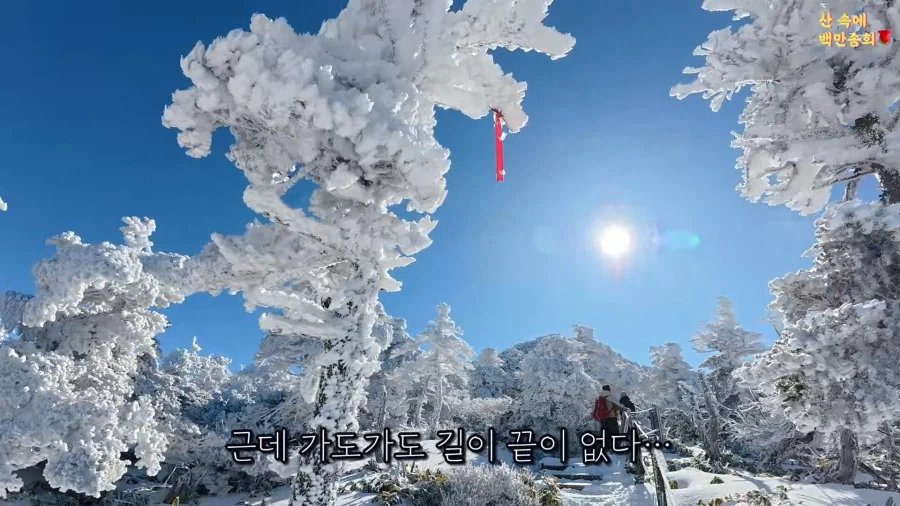 5분만에 한라산을 정복한 유튜버 이미지 5
