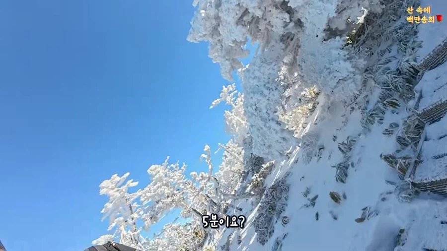 5분만에 한라산을 정복한 유튜버 이미지 2