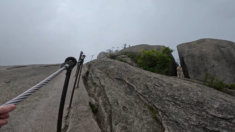 🏔️ 외국인이 서울에서 혼자 등산하다가 거의 죽을뻔한 이유 이미지 6